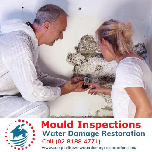 Mould Inspection- Why You Should Have Your Home Inspected For Mould