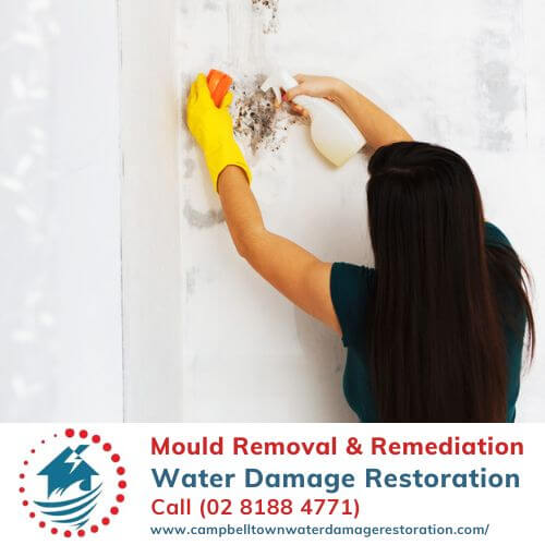 Mould Removal and Remediation